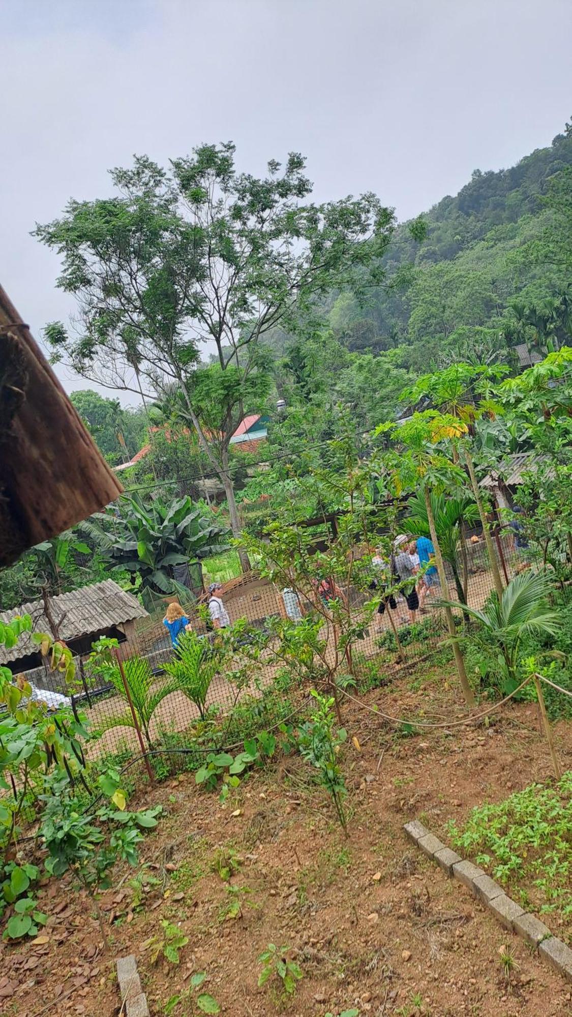 Muong Bi Homestay Hòa Bình Extérieur photo