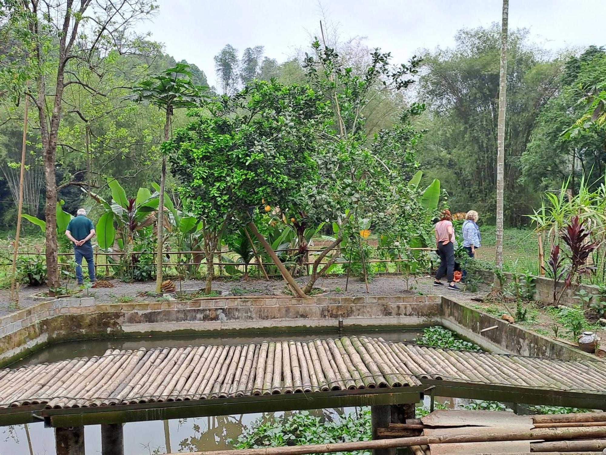 Muong Bi Homestay Hòa Bình Extérieur photo